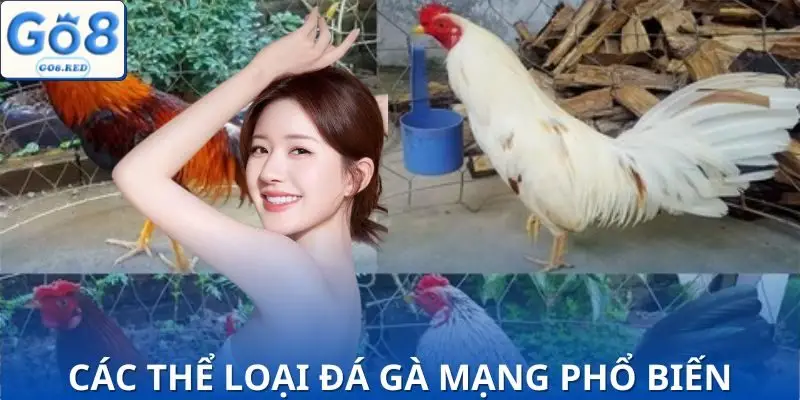 Các thể loại đá gà mạng được nhiều người quan tâm