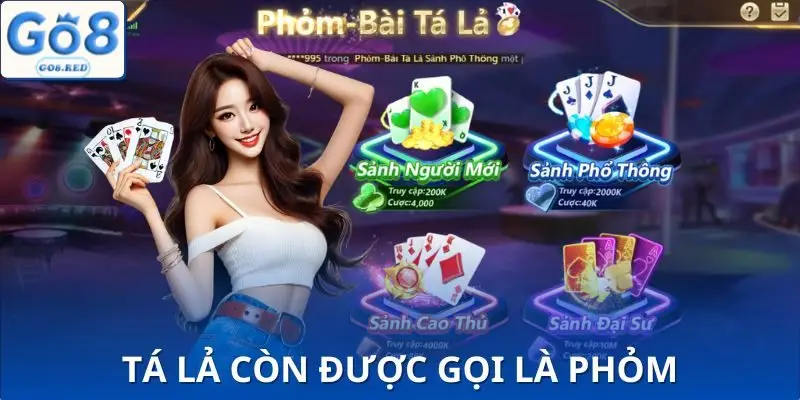 Nền tảng quan trọng giúp bạn chơi phỏm dễ dàng hơn