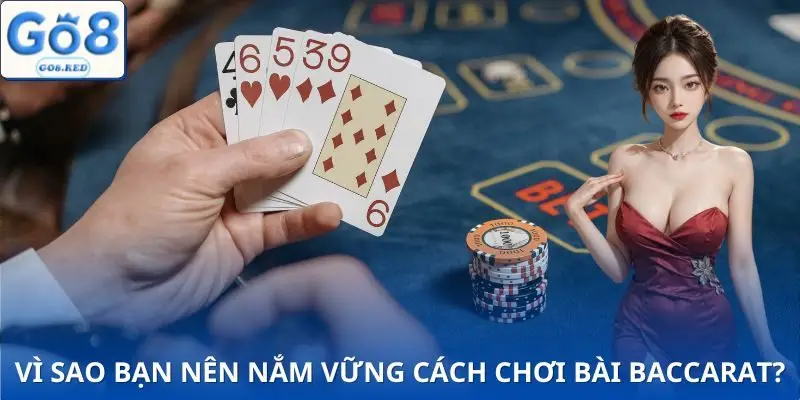 Lý do học cách chơi bài baccarat